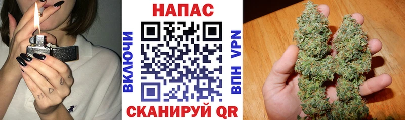 Бошки марихуана VHQ  Новая Ладога 